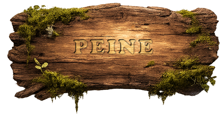Peine